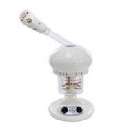 mini steamer1_200x400